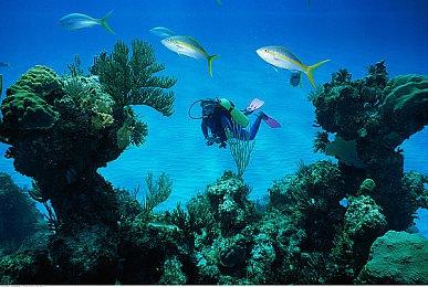 美国销量月榜：9月《星空》登顶 助收入增长10%