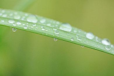 “魔兽人皇”和“格斗拳皇”梦幻联动，强势加盟KK疯狂电脑挑战赛！